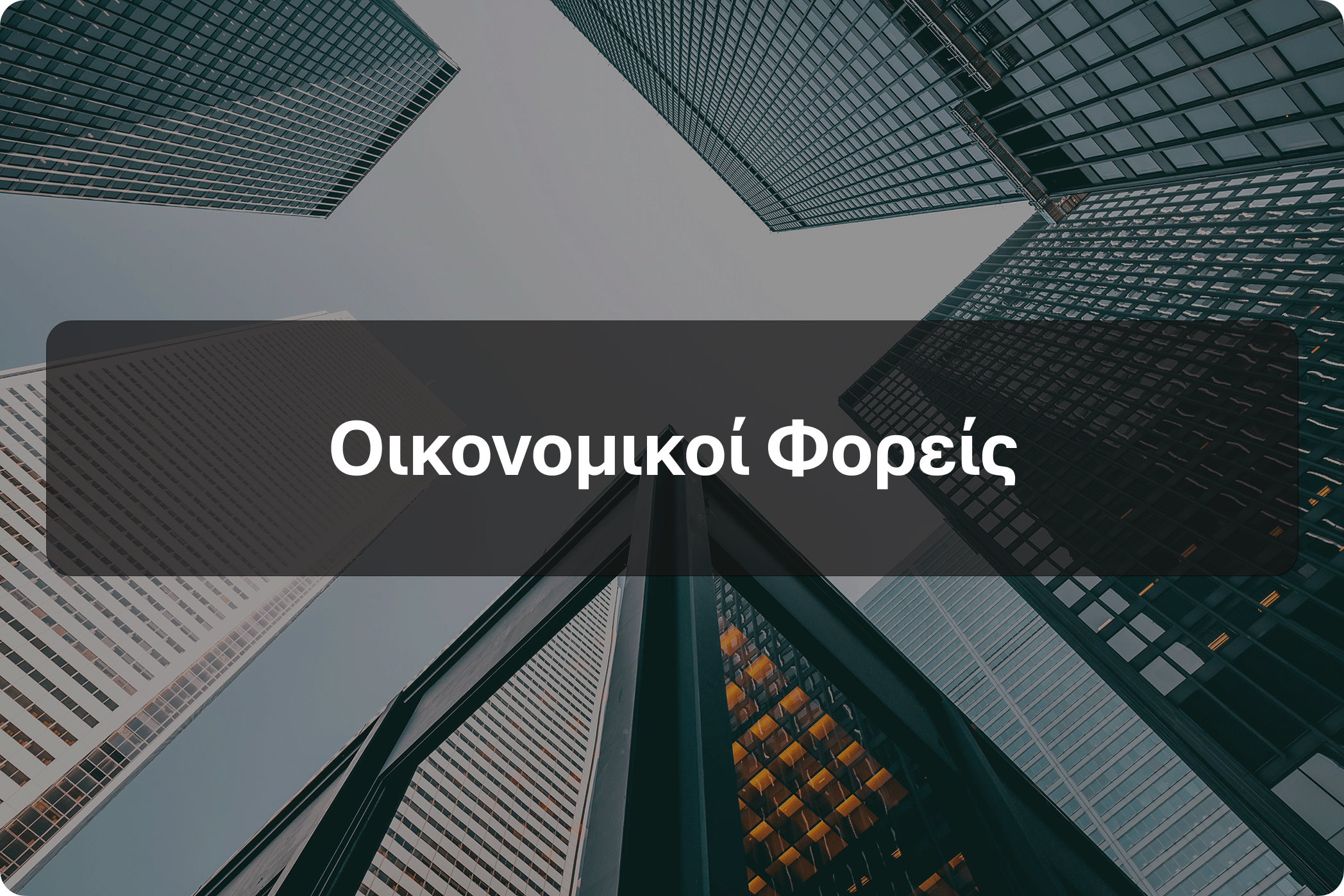 Οικονομικοί Φορείς 